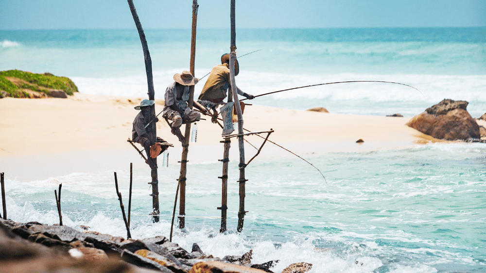 Cultural & Coastal Loop