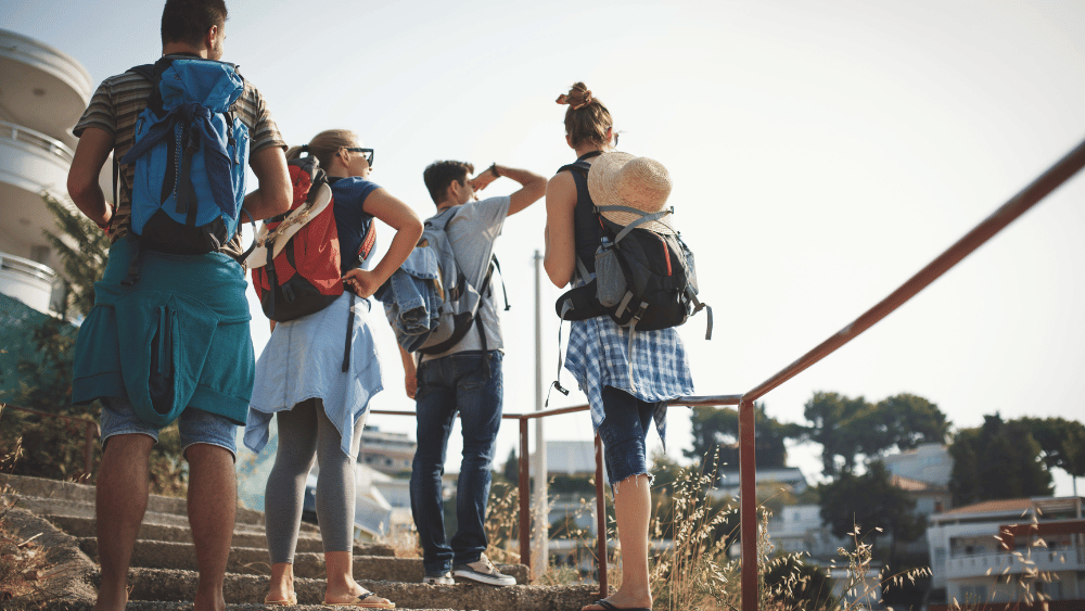 Sightseeing Tours